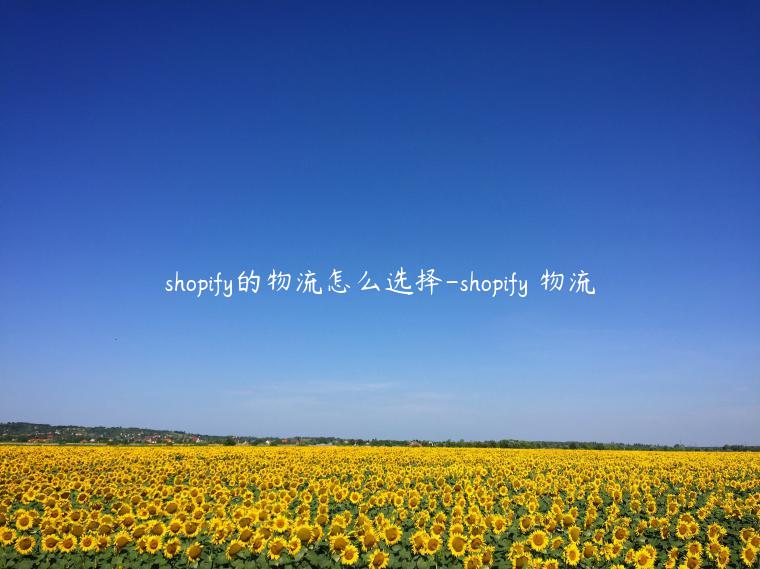 shopify的物流怎么選擇-shopify 物流